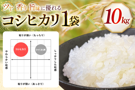 米 令和7年産 石川県産 コシヒカリ 10kg x 1袋 [農事組合法人かさの郷 石川県 津幡町 tb17bgj610004] 