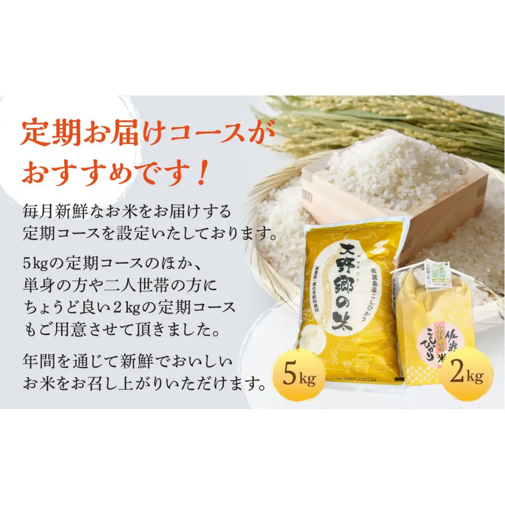 【令和７年産】佐渡島産 特別栽培米こしひかり「大野郷の米」精米5kg×6回 定期お届けコース