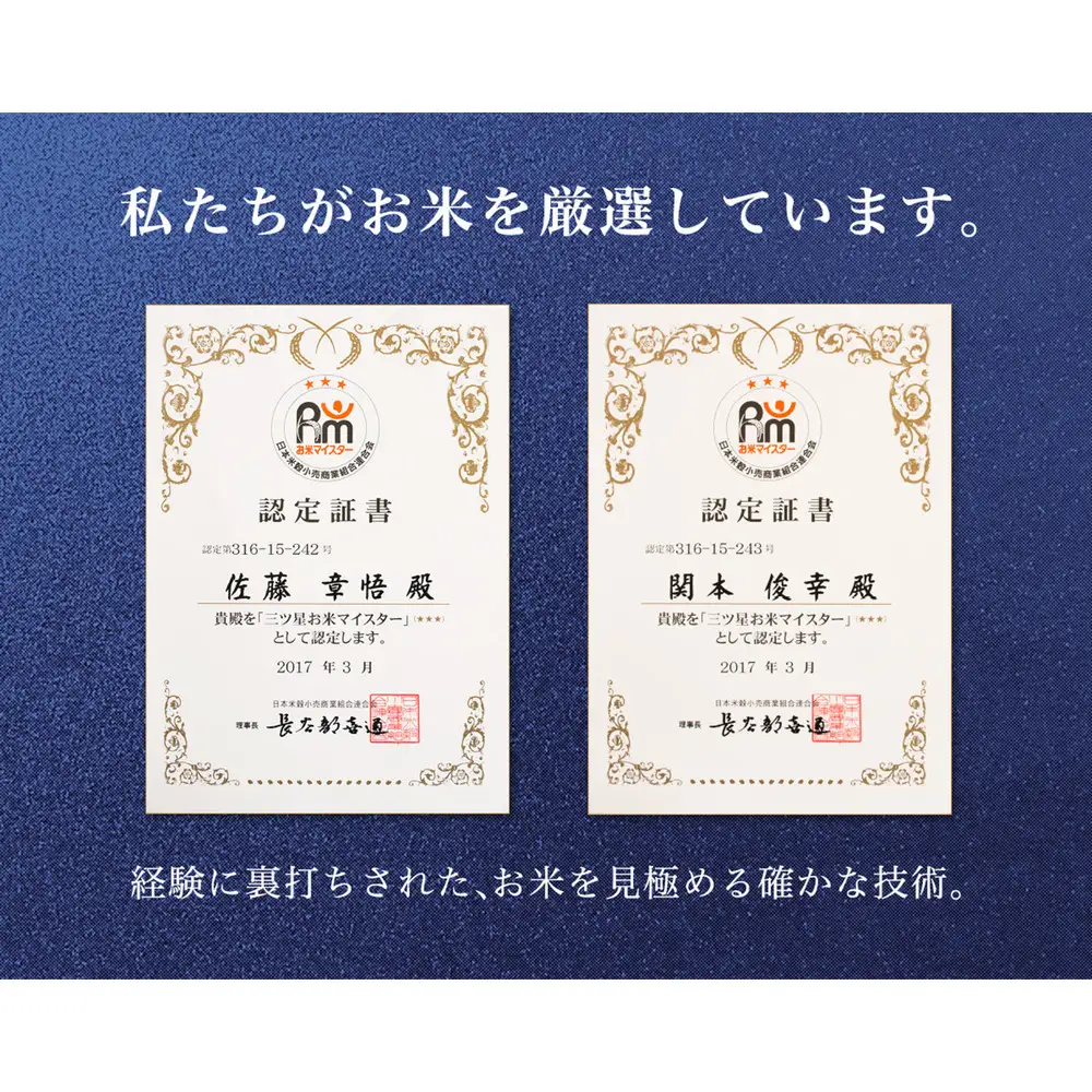 米 コシヒカリ 佐渡産 ( 5kg ) 米杜氏【令和7年米】
