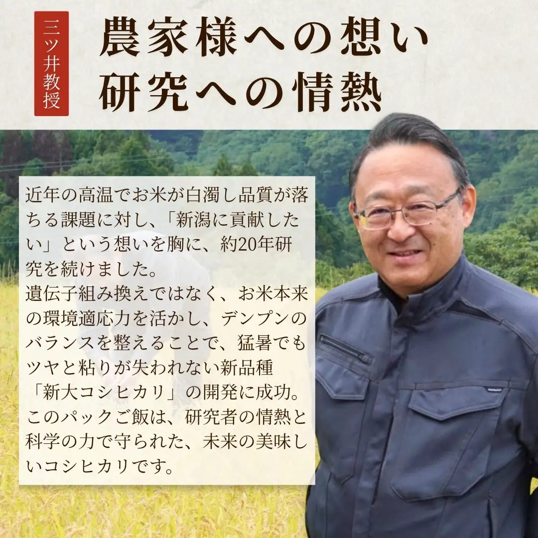 新大コシヒカリ パックご飯 180g×10個 たかの | パックご飯