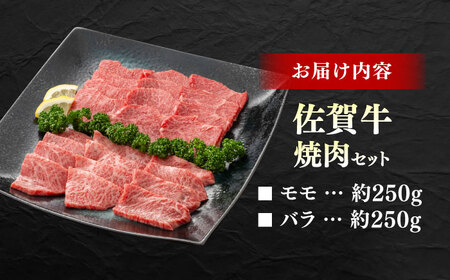 佐賀牛 焼肉セット B モモ バラ 約500g 【JAさが 杵島支所】[HAM092]