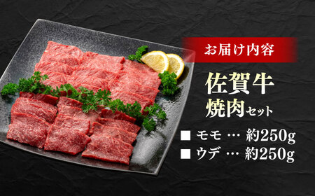 佐賀牛 焼肉セット C モモ ウデ 約500g 【JAさが 杵島支所】[HAM093]