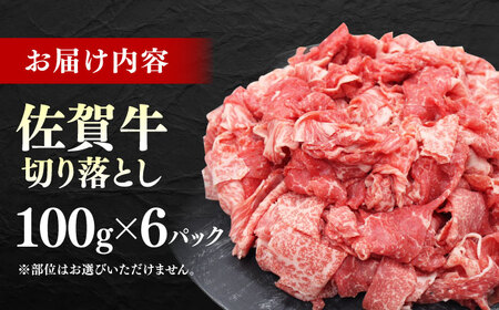佐賀牛 切り落とし 600g （100g×6パック） 【JAさが 杵島支所】 こま切れ 小間切れ[HAM097]
