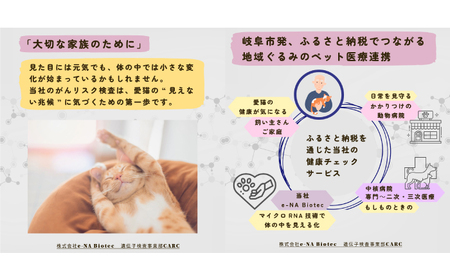 ネコ がんリスク検査【大切な家族のために】 ペット 検査キット 早期発見 岐阜市 / 株式会社e-NA Biotec[ANHE001]