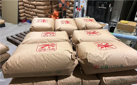令和7年産 ハツシモ 白米 5kg 精米 米 ブランド米 岐阜市 / 川瀬ファーム[ANIB001]