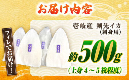 【お中元】剣先イカ 刺身用 500g [JCC024] イカ刺し