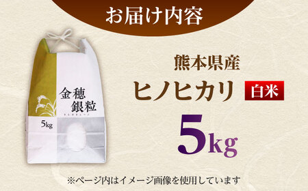  ヒノヒカリ 白米 5kg（5kg×1袋） 【株式会社 岩下農園】[ZFS003]