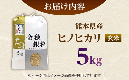  ヒノヒカリ 玄米 5kg（5kg×1袋） 【株式会社 岩下農園】[ZFS006]