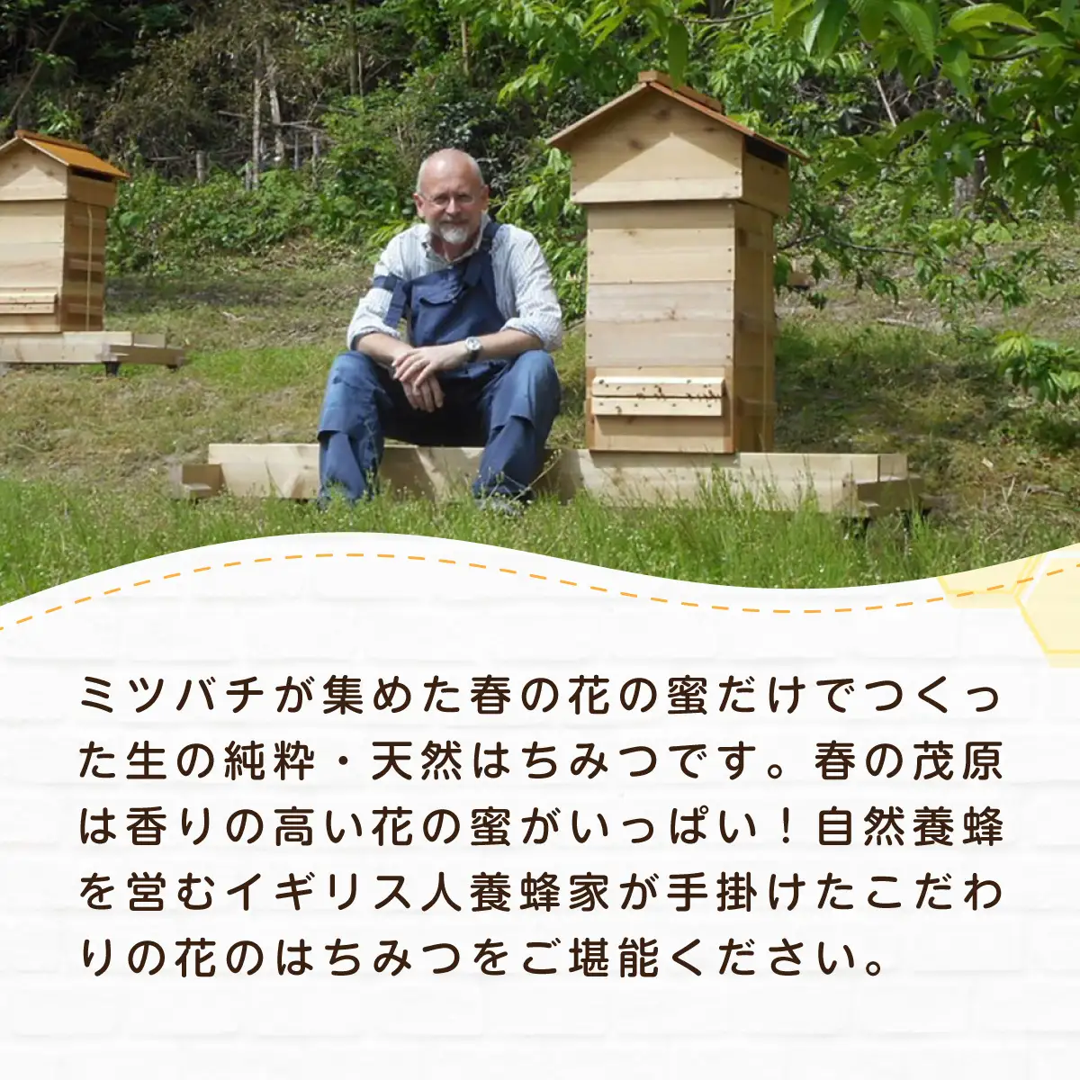 はちみつ屋さんの滝ノ谷HONEY 150g×3 MBAW002