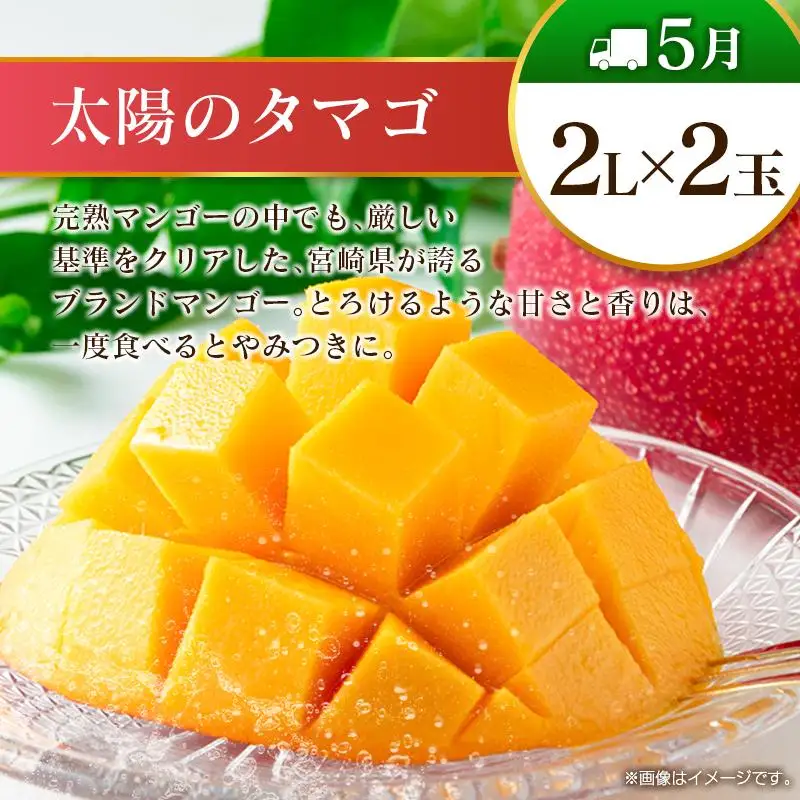 【奇数月 6回定期便】旬 人気 フルーツ 南国宮崎産 太陽のタマゴ ピオーネ いちご みかん メロン マンゴー 柑橘 ぶどう 果物 詰め合わせ 宮崎県 九州＜A-1コース M110＞