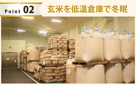【白米】令和7年産 ふくい東郷米 有機JASコシヒカリ 3kg [A-020029_01]/ 白米 玄米 無洗米 有機適合肥料100% 真空パック もっちり 甘い 安全 米 こしひかり 国産 福井県 福井市 東郷