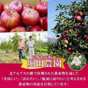 ＜26年10月頃～発送 先行予約＞長野県産 りんご 秋映 訳あり 約3kg リンゴ 旬 フルーツ 訳アリ 林檎 果物 規格外 自家用 産地直送 農園 産直 お取り寄せ もぎたて 採れたて 送料無料 堀田農園 信州 大町市