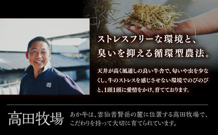 【希少】雲仙 あか牛 ハンバーグ 3個 (150g×3個) / 加熱済 国産 長崎和牛 牛 牛肉 加工品 冷凍 / 南島原市 / 株式会社高田牧場[SGQ004]