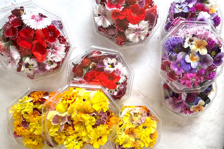 [定期便6回] 農家直送！加藤さんちのエディブルフラワー 3パック (1パックあたり季節のお花15輪から30輪) [0770]