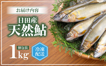 日田産天然鮎(冷凍)1kg　日田市 / 日田漁業協同組合 魚 あゆ アユ[ARFJ002]