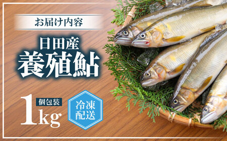 日田産養殖鮎(冷凍)1kg　日田市 / 日田漁業協同組合 魚 あゆ アユ[ARFJ003]