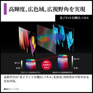 シャープ SHARP 【AQUOS(アクオス) 65V型 量子ドット有機ELテレビ 4T-C65HS1】
