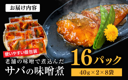 【寄附額改定】和風 魚 16パック 冷凍 惣菜 サバ  ＼ 惣菜 ／ [ALHZ001] 味噌煮