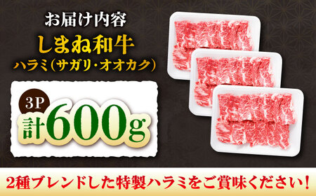 牛ハラミ 600g しまね和牛 ハラミ [AIEF007]