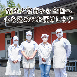 奥久慈めん 10束入り 3ヶ月 定期便 うどん 乾麺 【（有）中橋製麺所】【ho1607】