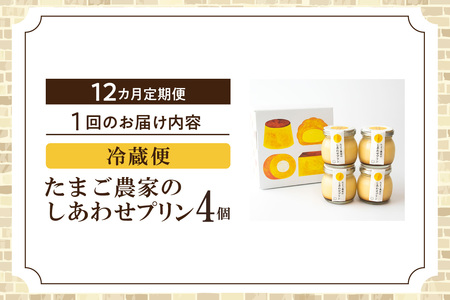【定期便12ヶ月】たまご農家のしあわせプリン 4個セット ココテラス デイリーファーム 常滑牛乳 デザート スイーツ なめらかプリン ギフト お取り寄せ たまご 卵 米卵 こだわりプリン グルメ 瓶入り おやつ 鶏卵 洋菓子 お菓子 プレゼント グルメ 愛知県 常滑市 定期便