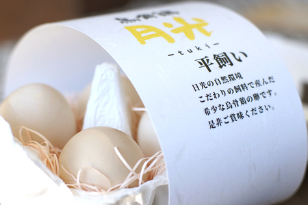 [定期便／3ヵ月] 希少！平飼い烏骨鶏の卵「月光《tuki》」40個×3回 計120個 [0803]