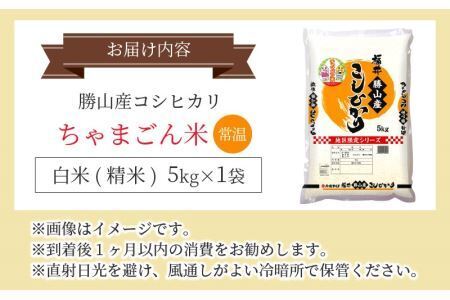 勝山産コシヒカリ ちゃまごん米 精米 5kg [A-010004]