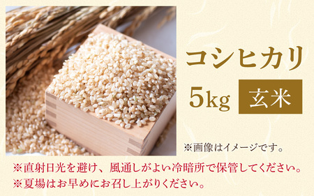 【勝山市産】田中さんちのコシヒカリ 玄米 5kg [A-080007]