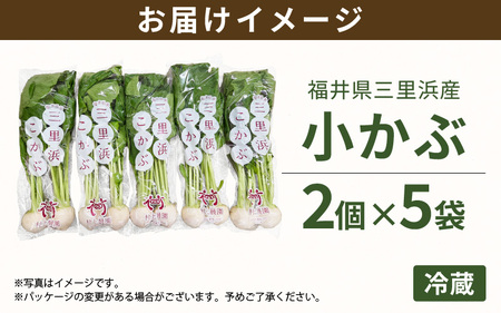 先行予約 村上農園産 小かぶ5パック入り (2玉×5袋) 計10個 2026年10月中旬以降順次発送予定 野菜 かぶ 新鮮 [A-16517]
