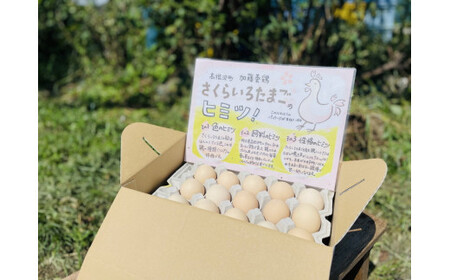 【3か月定期便】高根沢町産 加藤養鶏場のピンクたまご M～Lサイズ 27個＋割れ補償3個計30個×3カ月 計90個 ｜ 卵 玉子 たまご 選べる ピンク卵 ピンクたまご 生卵 国産 濃厚 鶏卵 コク 旨み ※北海道・沖縄・離島への配送不可