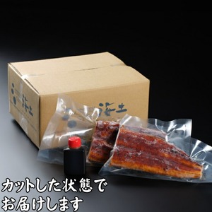 【 定期便12回 】 うなぎ と かつおのたたき 食べ比べセット