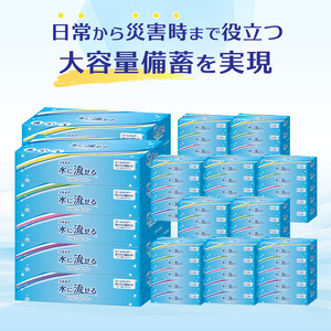 エルモア 水に流せるティシュー 30箱 5個×6パック ティッシュ ティッシュペーパー ボックスティッシュ 日用品 消耗品 備蓄 防災 愛媛県 四国中央市
