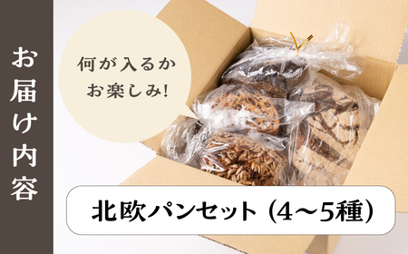 ドイツパンセット 国産 ライ麦 ハード ドイツパン
