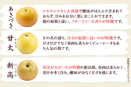 梨 谷口農園 約5kg 約6-16玉前後【日付指定・品種指定不可】| 梨