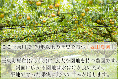 『坂田農園』の玉東梨 期間限定 予約受付中 約5kg《8月中旬-9月末頃出荷》 熊本県玉名郡玉東町産『坂田農園』｜ブランド梨 人気梨 特産品梨 熊本県梨 玉東町梨 大人気返礼品