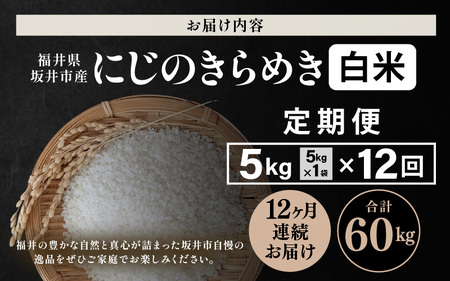 【先行予約】【令和8年産・新米】 定期便 ≪12ヶ月連続お届け≫ 坂井市産 にじのきらめき 白米 5kg×12回 計60kg (田中農園) 【2026年10月以降順次発送予定】 【米 こめ お米 精米 ブランド米 国産】 [K-20501]