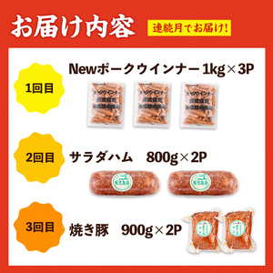 ＜定期便・計3回(連続月)＞ ナンチク 加工品 セット ( Newポークウインナー / 焼き豚 / サラダハム ) 【ナンチク】i1205-A