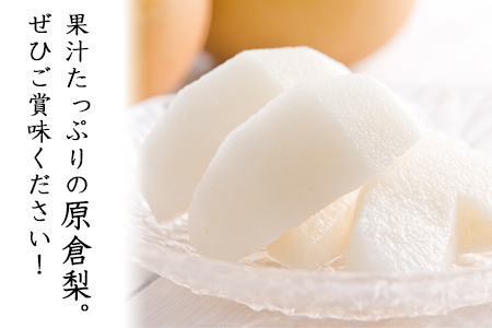 【日付指定不可】『清田果樹園』の原倉梨 期間限定 予約受付中 たっぷり約5kg 6-14玉前後《9月上旬-10月上旬頃出荷》 果汁あふれるシャキシャキ食感！新高梨 新興梨 あきづき 豊水梨 熊本県玉名郡玉東町『 