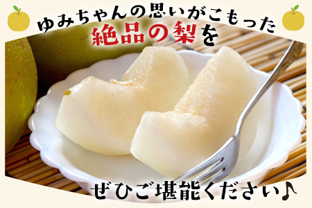 ゆみちゃん農園の玉東梨 約5kg(7～16玉前後)《2026年8月下旬-10月上旬頃出荷》 熊本県玉名郡玉東町 ｜ブランド梨 人気梨 特産品梨 熊本県梨 玉東町梨 大人気返礼品
