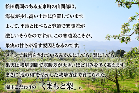 【先行予約】『松田農園』のくまもと梨 期間限定 たっぷり約5kg 8-18玉前後《7月下旬-9月末頃出荷》 予約受付中 熊本県玉名郡玉東町『松田農園』｜ブランド梨 人気梨 特産品梨 熊本県梨 玉東町梨 大人気返礼品