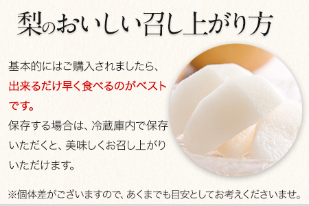 『上田農園』の玉東梨 期間限定 予約受付中 たっぷり約5kg 6-16玉前後《8月中旬-10月上旬頃出荷》 熊本県玉名郡玉東町『上田農園』｜ブランド梨 人気梨 特産品梨 熊本県梨 玉東町梨 大人気返礼品