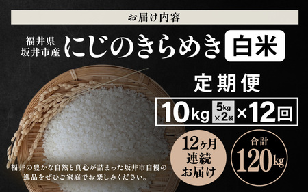【先行予約】【令和8年産・新米】 定期便 ≪12ヶ月連続お届け≫ 坂井市産 にじのきらめき 白米 10kg (5kg×2袋)×12回 計120kg (田中農園) 【2026年10月以降順次発送予定】 【米 こめ お米 精米 ブランド米 国産】 [O-20501]