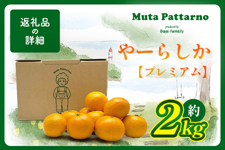 【先行予約】【発送は2026年10月中旬から11月上旬ごろ】やーらしかみかん”プレミアム”約2kg（箱込み重量）｜【数量限定】小粒サイズ ご家庭用｜一口で食べられる濃縮旨み ｜生産者直送 国産 佐賀県産 ミカン 蜜柑 果物 フルーツ 送料無料 A-224