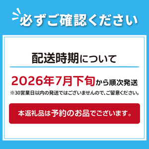 【予約：2026年7月下旬から順次発送】こんねの旬の野菜詰め合わせセット 夏BOX 7〜8月 ( 野菜 やさい セット 詰め合わせ 野菜セット 旬 新鮮 )【202-0003】