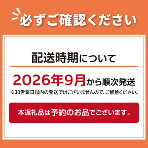 【予約：2026年9月から順次発送】こんねの旬の野菜詰め合わせセット 秋BOX 9〜10月 ( 野菜 やさい セット 詰め合わせ 野菜セット 旬 新鮮 )【202-0004】