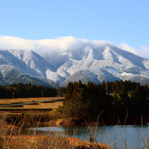 令和7年 鳥取県産 山崎農園こしひかり無洗米5kg