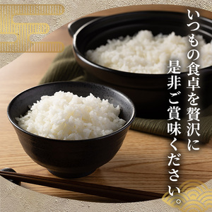 ≪令和7年産≫【無洗米】【食味鑑定士厳選】福岡県産 夢つくし(計10kg・5kg×2袋) 白米 無洗米 米 お米 おこめ ごはん ゆめつくし ご飯 常温 福岡県産 ブランド米 常温 常温保存 【ファインリョーコク】as34-008