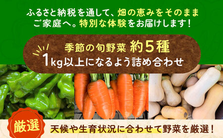 野菜 季節の旬の野菜おまかせBOX 農家直送 野菜 詰め合わせ 愛西市 / 平野農園[AEDO001]