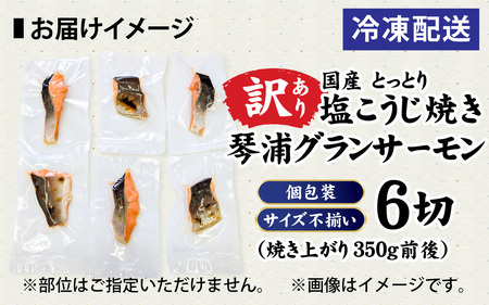 【訳あり】 国産 とっとり 琴浦グランサーモン 焼いときました 焼魚 6切 （焼き上がり350g前後） 塩焼き 個包装 レンチン