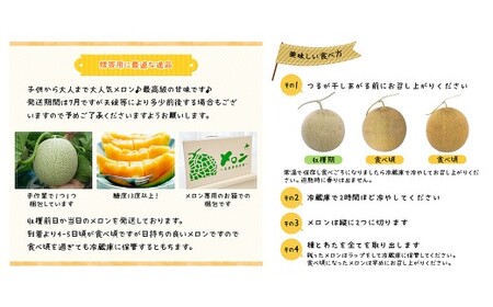 蘭越産 赤肉メロン 2玉 計 約 3kg 以上 【2026年7月上旬-8月上旬まで順次発送予定】 果物 くだもの フルーツ メロン めろん 日持ち 常温 北海道 蘭越町